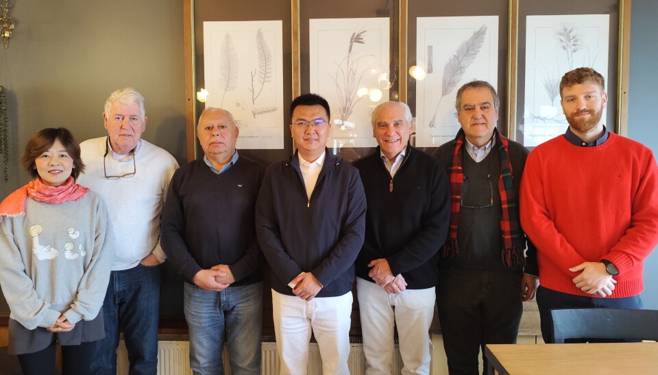Annie Dai, subgerente general de Kingfisher Marine Services; Carlos Piderit, Director de Altamar; Patricio Bram, Socio de Altamar; Bryan Wang, director ejecutivo de Kingfisher Marine Services; Raúl Cancino, representante de Kingfisher Chile; Walter Piderit, Director de Altamar; y Tomás Piderit, Asesor Financiero y Desarrollo de Altamar.