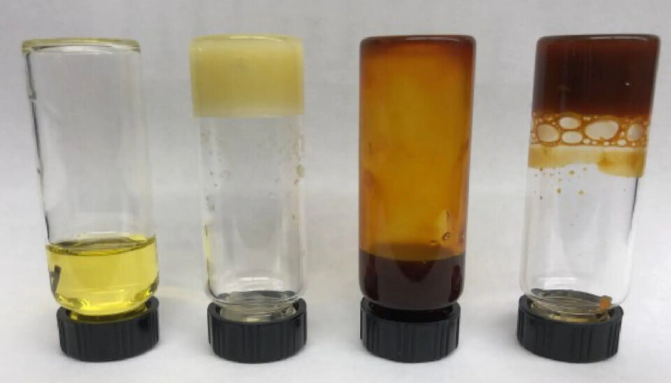 De izquierda a derecha: aceite de semilla de camelina; oleogel de semilla de camelina; aceite de camelina rico en astaxantina; oleogel de camelina rico en astaxantina.