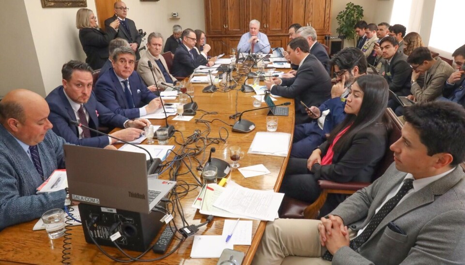 Foto: I. Municipalidad de Puerto Montt.