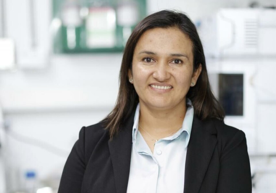 Dra. Yorley Duarte, académica de la Universidad Andrés Bello y quien lidera el proyecto.