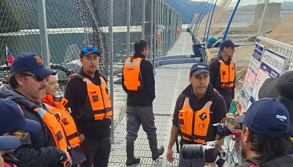Agua Viva estrenará saga de 3 capítulos sobre la salmonicultura en Chile
