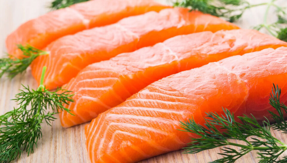 BioMar aumenta los niveles de vitamina D en los alimentos para salmón