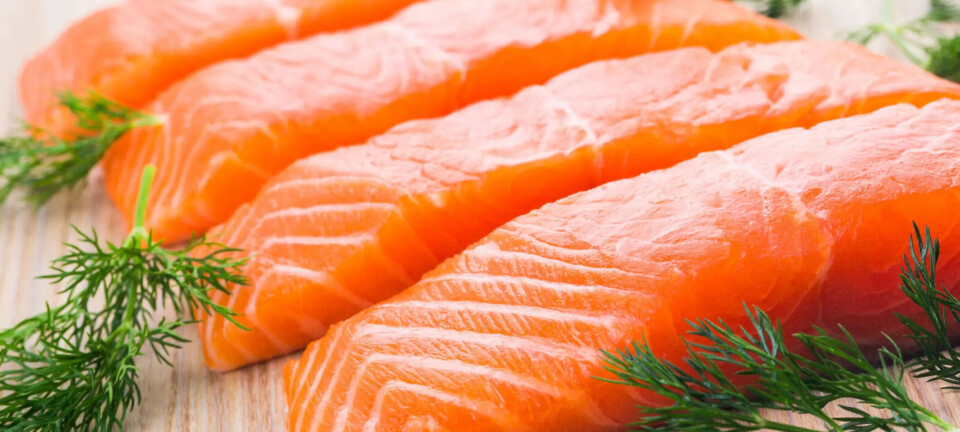 BioMar aumenta los niveles de vitamina D en los alimentos para salmón