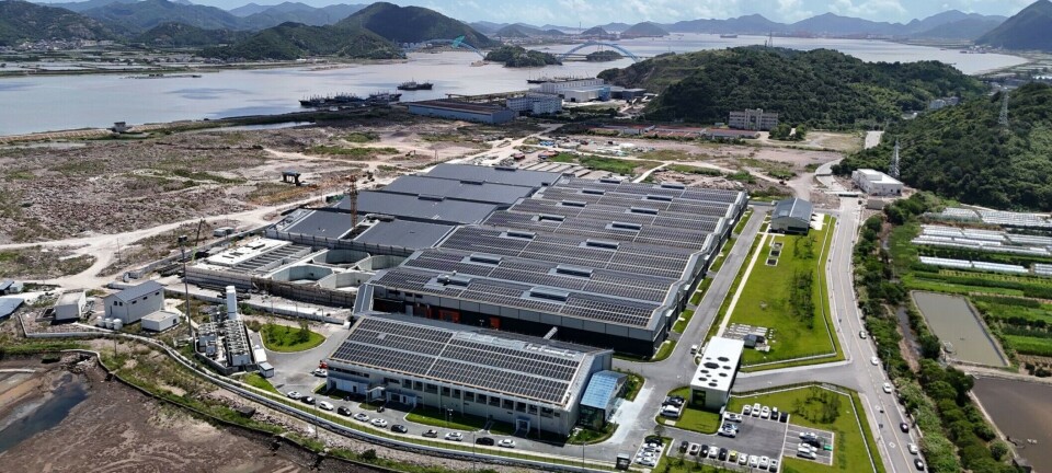 Productor de salmón premium aprovecha la fuerte demanda china