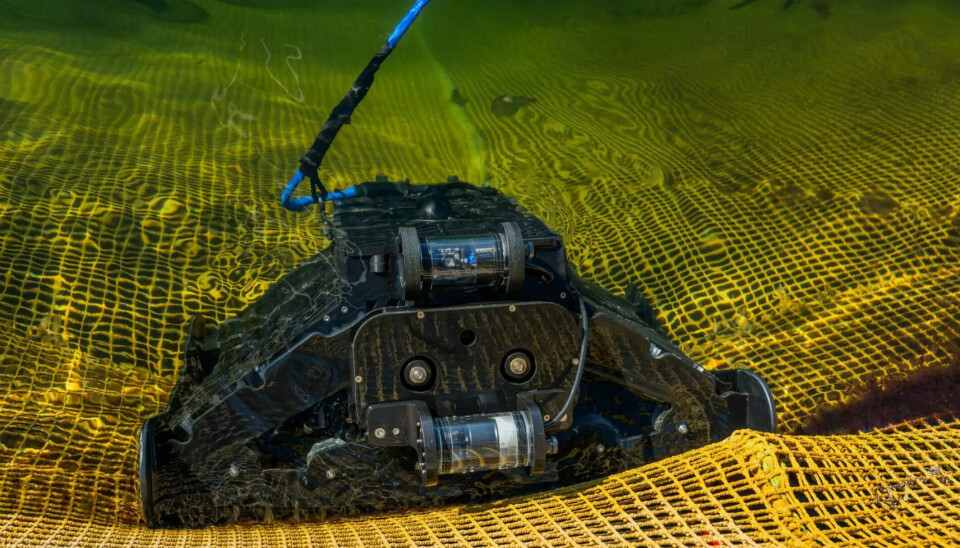 Fabricante de robots limpiadores de redes recauda millonaria suma tras entrar a Chile