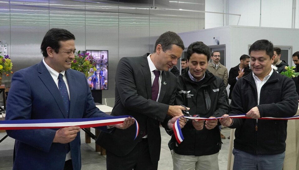 Autoridades y ejecutivos de Marine Farm en la inauguración de la planta en Calbuco.