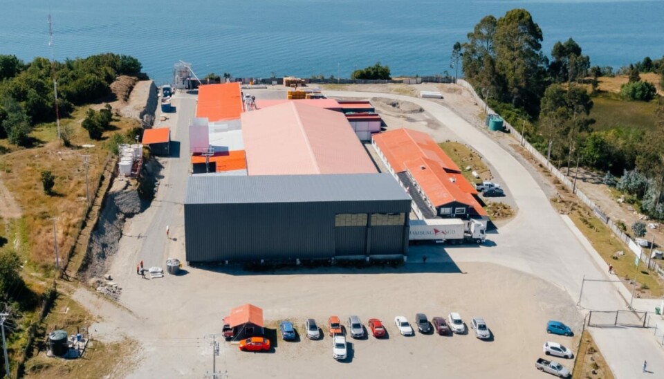Nueva planta de Marine Farm en Calbuco.