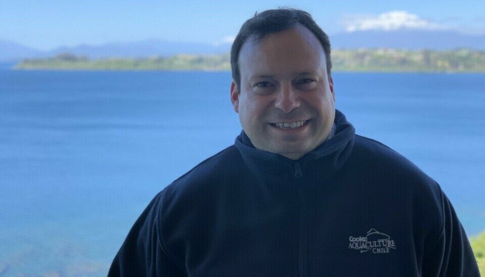 CEO de Cooke Aquaculture Chile Andrés Parodi.