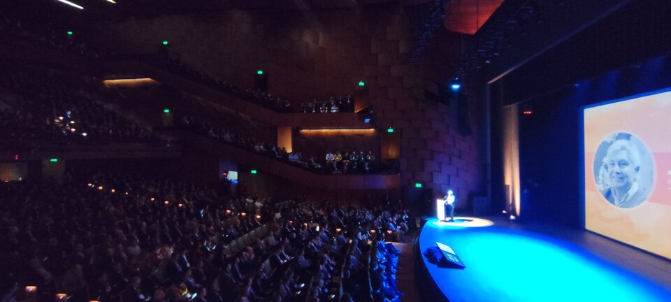 Industria del salmón: actores clave piden mayor claridad, diálogo y visión de Estado