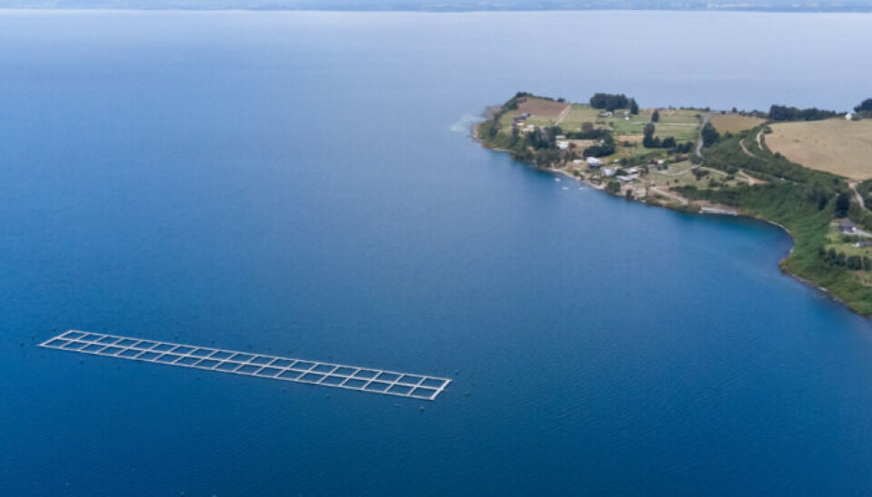 Imagen referencial de Lago Llanquihue.
