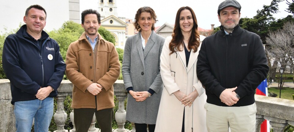 Las gestiones de alto nivel para que el salmón magallánico llegue directo por avión a Sao Paulo