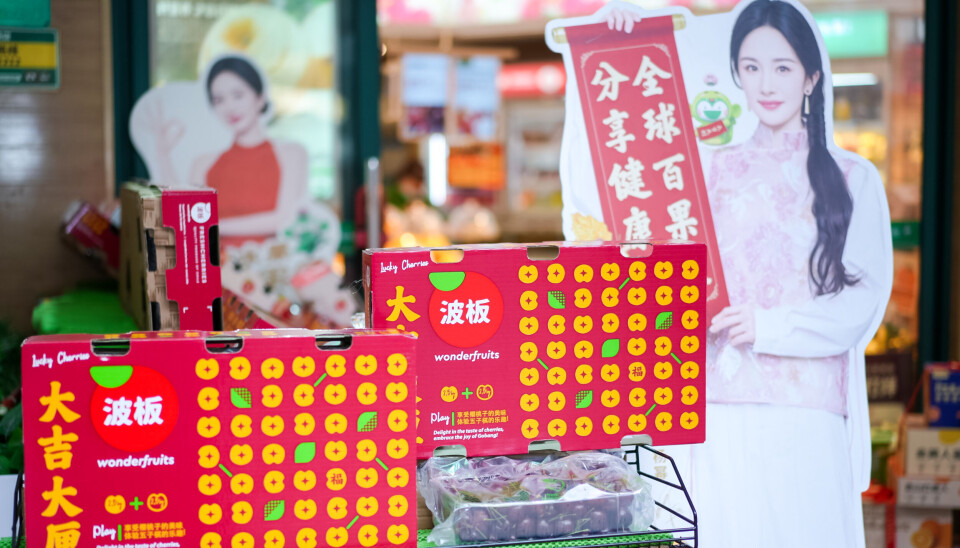 CMPC y MIT desafían a rediseñar el packaging del salmón chileno en EE.UU.