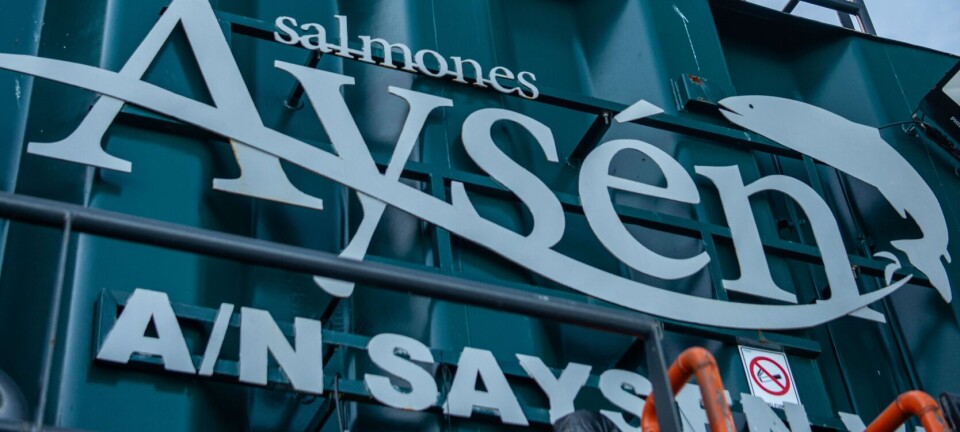 La ruta de Salmones Aysén para impulsar el bienestar animal en sus operaciones