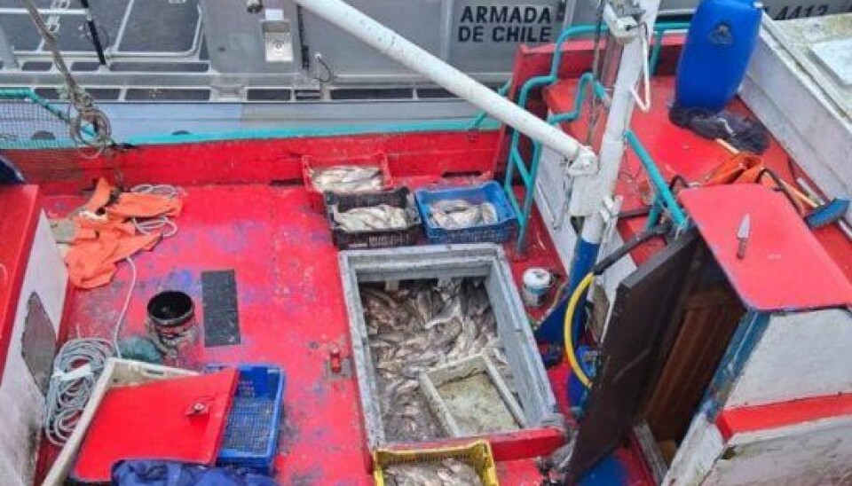 Detienen a 17 personas por millonario robo de salmones