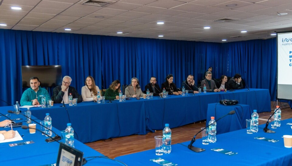 Fotos: I. Municipalidad de Puerto Montt.