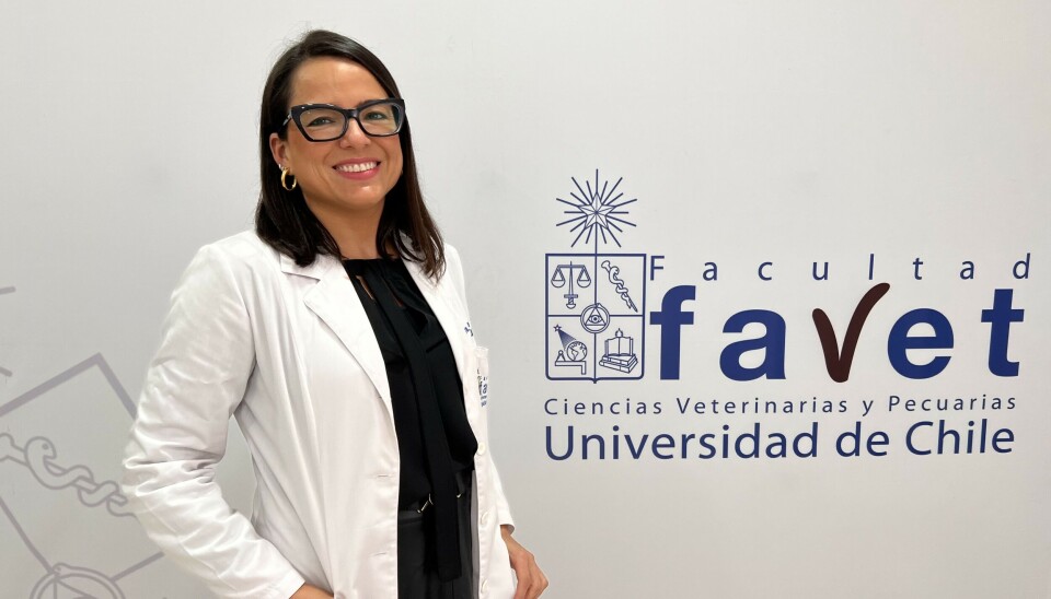 Favet se une al Institute of Marine Research de Noruega para formar el AMR Aqua Consortium