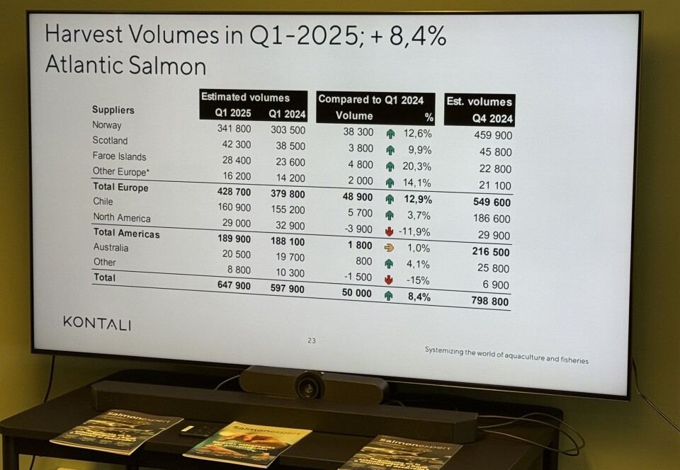 Kontali: “Vemos un aumento cercano al 9% en la cosecha mundial de salmón'