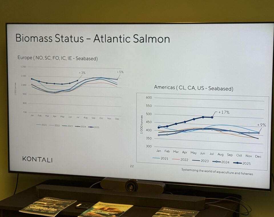 Kontali: “Vemos un aumento cercano al 9% en la cosecha mundial de salmón'