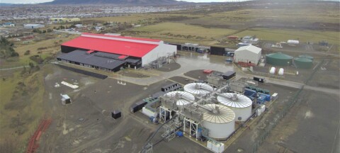 Australis Seafoods acusa judicialización sistemática de la acuicultura en Magallanes