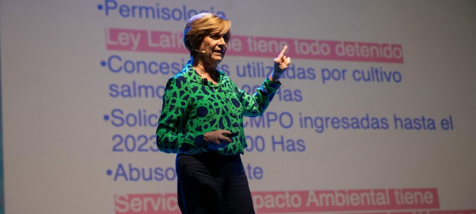 Evelyn Matthei apuesta por aumentar 50% la producción de salmón en Chile