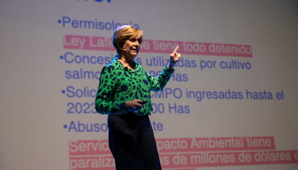 Evelyn Matthei.