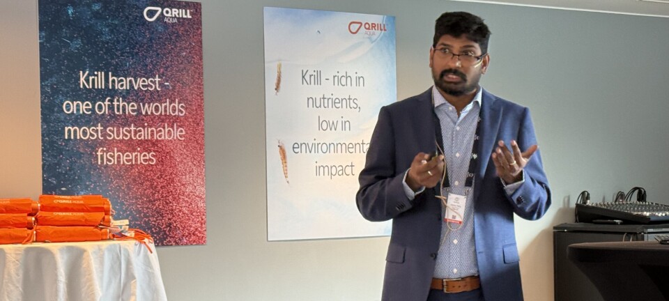 Alimentación del salmón: redescubriendo los secretos de los nutrientes marinos