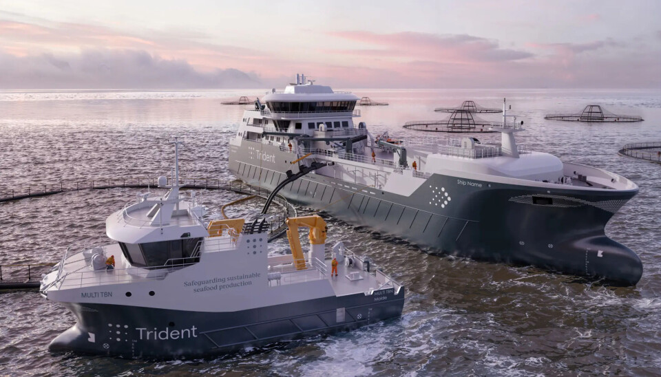 Trident desembolsa dinero para nuevo wellboat y un barco de servicio con propulsión híbrida