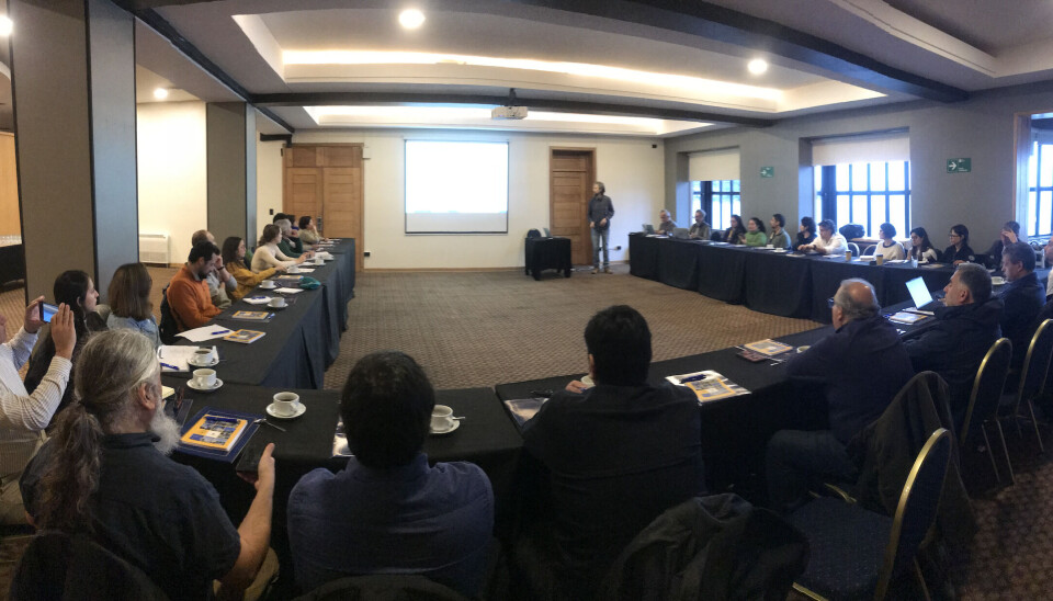 Capacitación 'Márgenes científicos de la recuperación de fondos marinos: aspectos oceanográficos y biogeoquímicos clave', realizada en el marco del proyecto FoNDEF ID24I10236.
