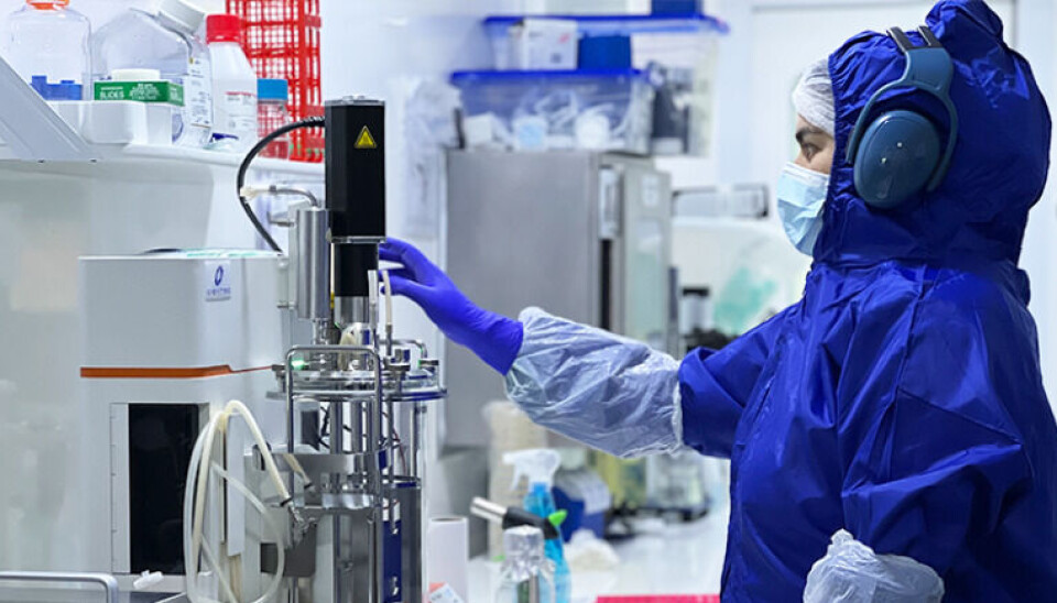 Proyecto busca frenar el SRS estudiando en profundidad genes de salmón coho