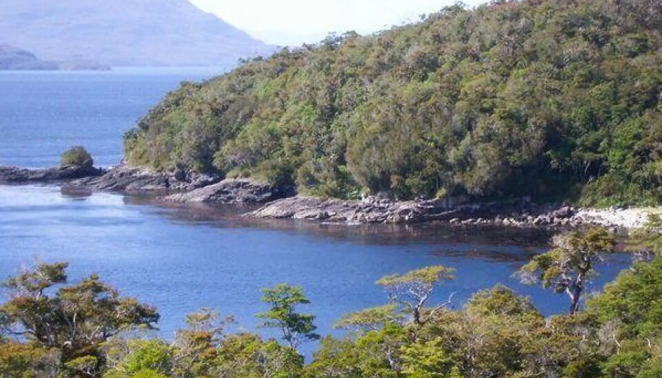 Reserva Nacional Las Guaitecas.