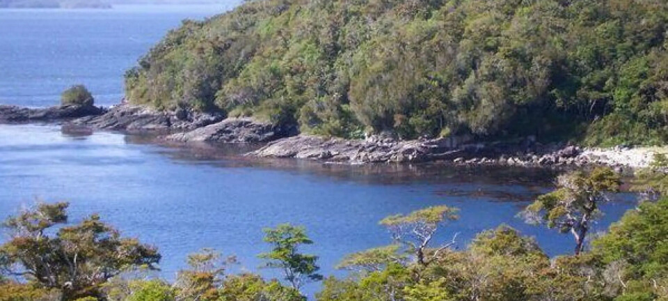 Alerta por planes en Reserva Guaitecas donde opera 40% de la salmonicultura de Aysén