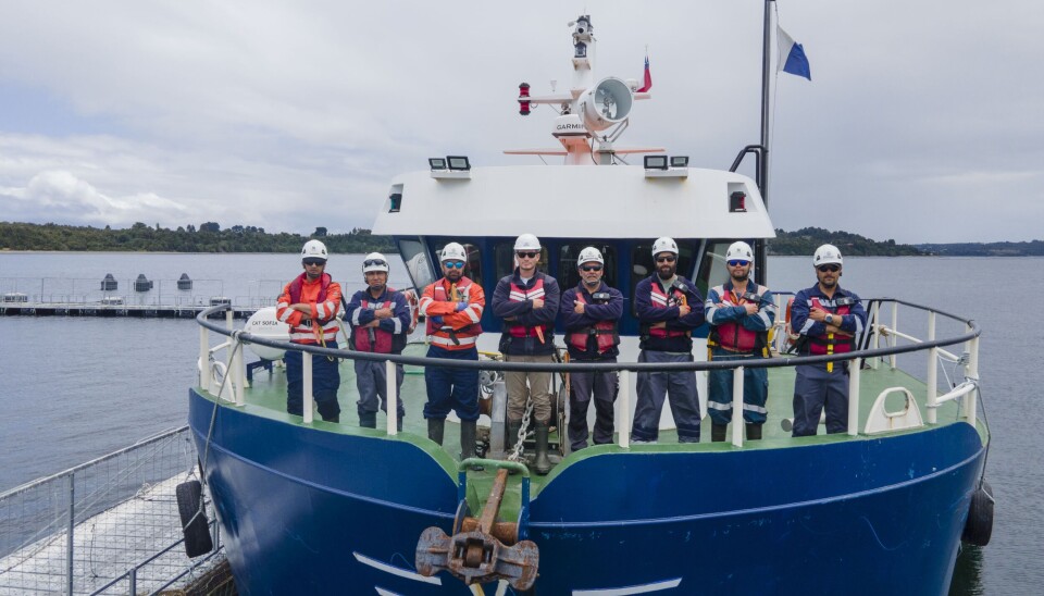 Multi X: primera salmonicultora en recibir certificación en seguridad para buceo