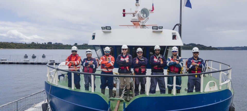 Multi X: primera salmonicultora en recibir certificación en seguridad para buceo