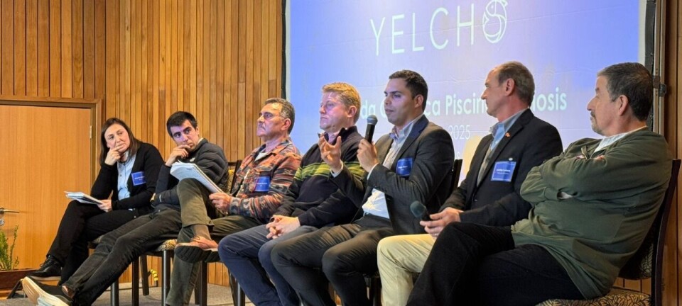 Los esfuerzos colaborativos para generar vacunas efectivas contra la Piscirickettsiosis