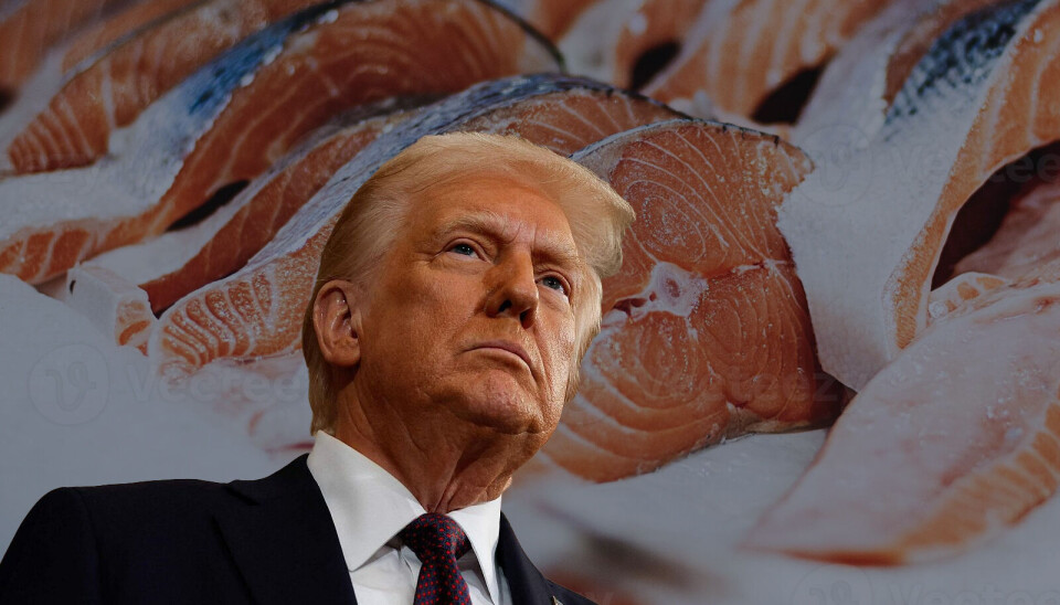 Los efectos en el salmón de las políticas aplicadas por Donald Trump