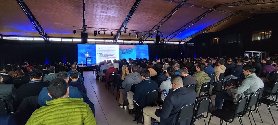 InnAqua 2025 llamó a la confianza, innovación y alianzas para el futuro de la salmonicultura