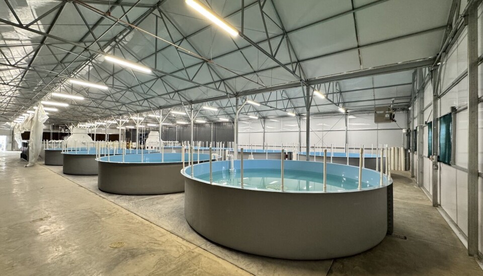 El grupo Innovasea apuesta por la acuaponía: se inicia con dos instalaciones RAS