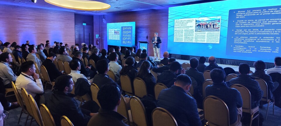 El futuro del salmón se escribe con innovación y comunidad