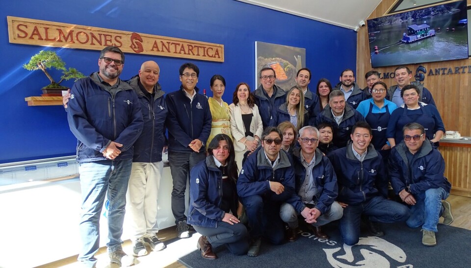 Salmones Antártica inaugura nueva tienda para el público de Chiloé