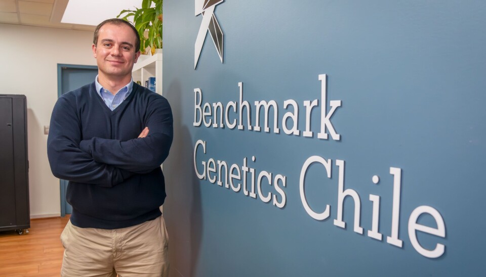 Gerente general de Benchmark Genetics Chile, Juan Pablo Ramírez.