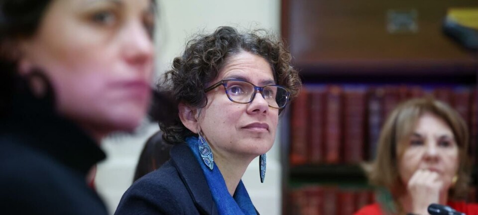 Salmonicultura en alerta: Gobierno incumple plazos para ley de parques y reservas