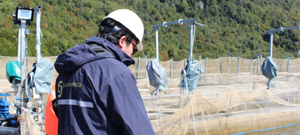 Corte Suprema condena a salmonicultora con multa millonaria y suspensión de operaciones