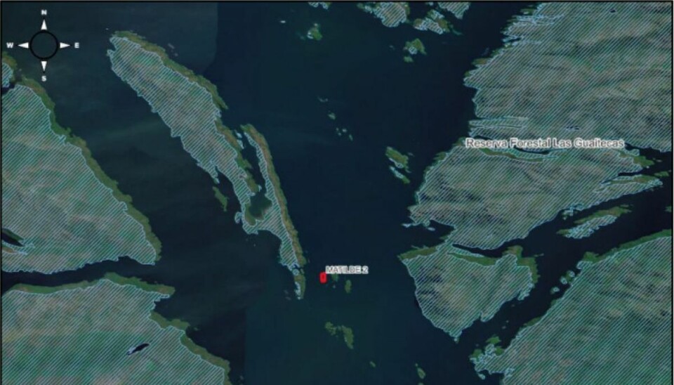 ONG lleva al tribunal ambiental aprobación para centro de Australis Seafoods