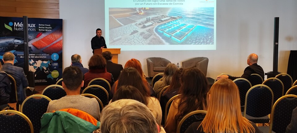 Regulaciones en EE.UU. desafían a la salmonicultura chilena, pero abren nuevas oportunidades