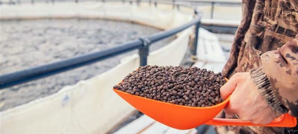 ¿Escasez de harina y aceite de pescado para la industria acuícola?