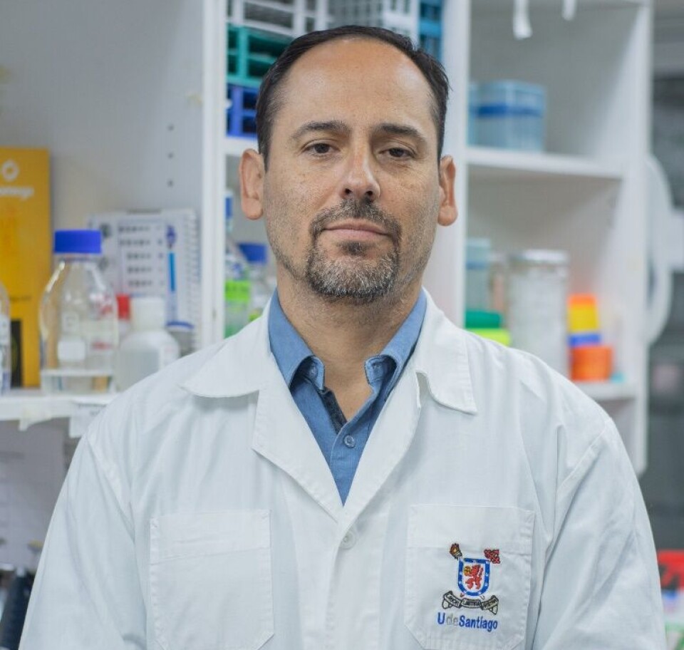 Marcelo Cortez.