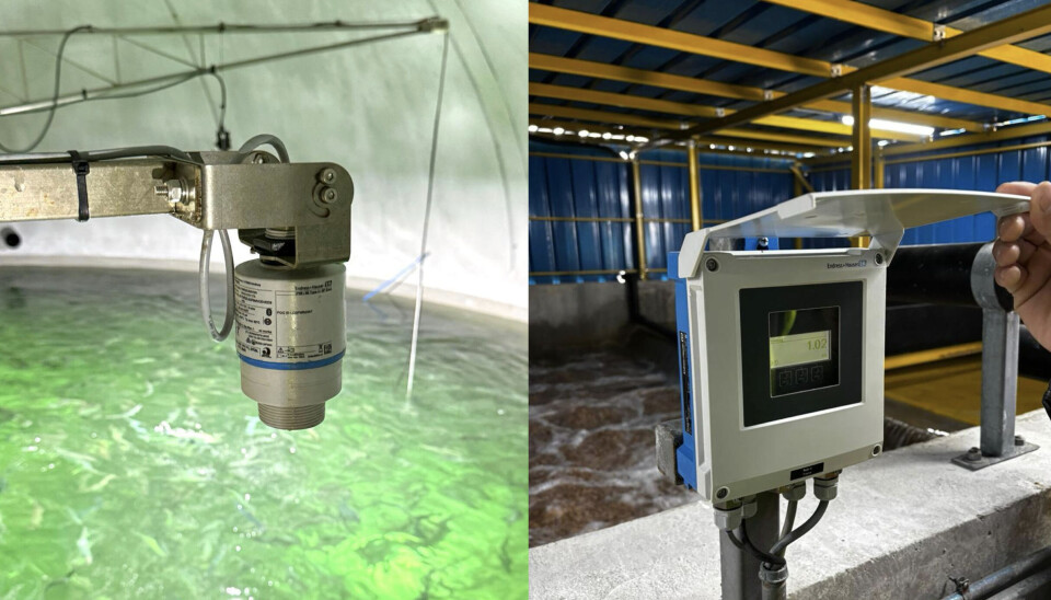 Foto: Endress+Hauser.