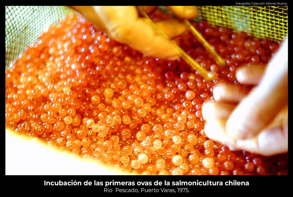 Fotos: Alfonso Muena.