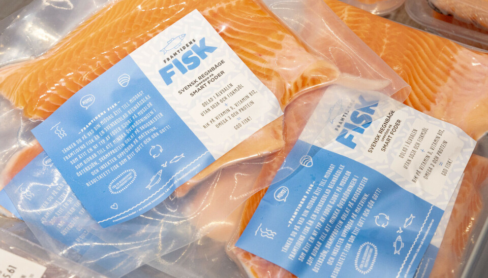 “El pescado del futuro” elaborado a partir de micoproteína de Cirkulär ya está a la venta.