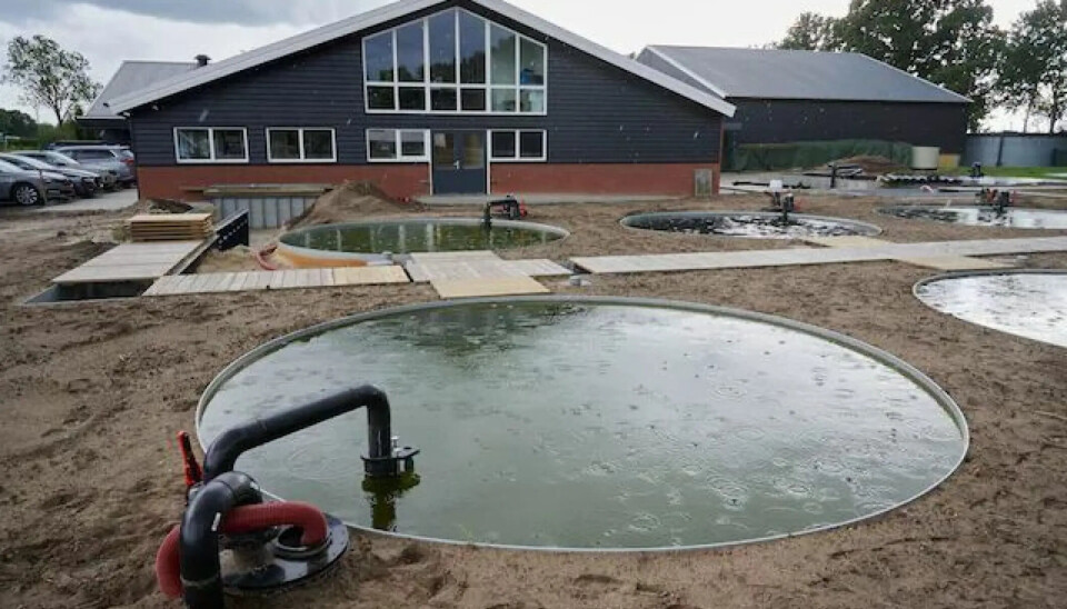 Una antigua granja de cerdos se transforma en inédito centro de salmones